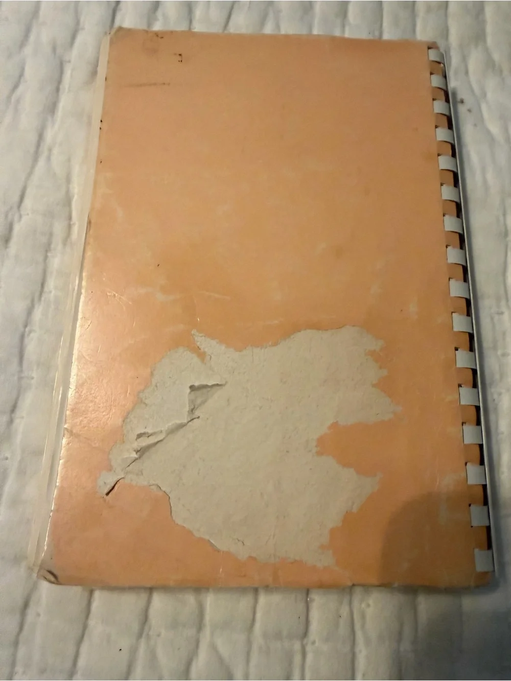 Six Flew Over The Cuckoos Kitchens Cookbook - Cream with Orange Print